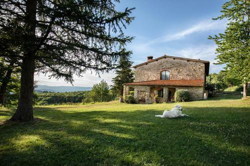 Apartamento Piancasalemia