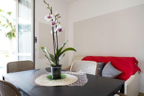 Apartamento Villa Paola Bilo4
