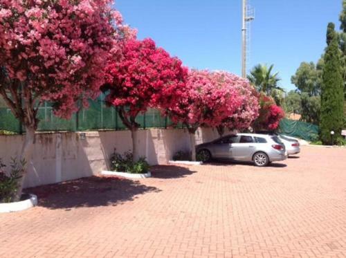 Loano Apartment Pool & Garden