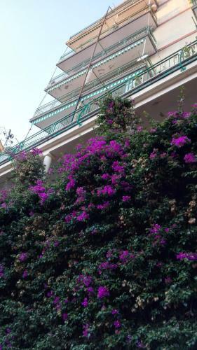 Silvia, Giulia & Giovanna Apartments