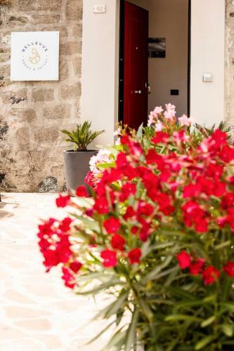 Hostal Bellevue - Rooms & Suites