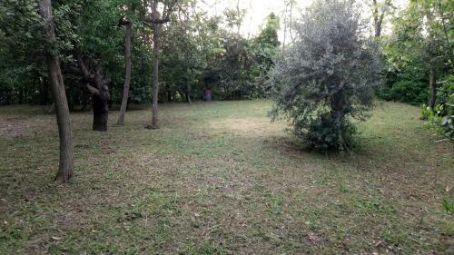 Agroturismo Casolare Toscano