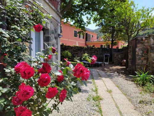 Apartamento Dorothea House