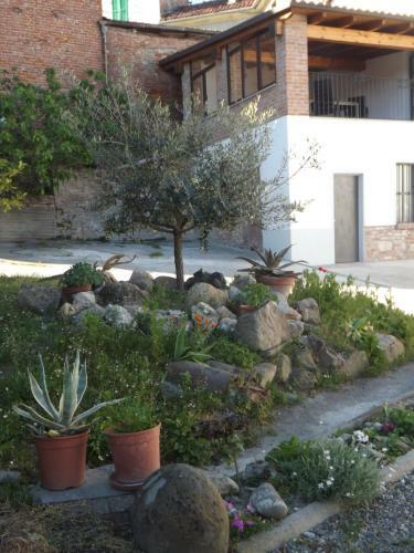Bed & Breakfast Domus Amica