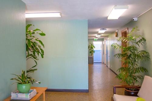 Holiday Surf Hotel