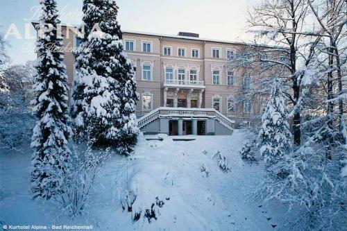Hotel Alpina