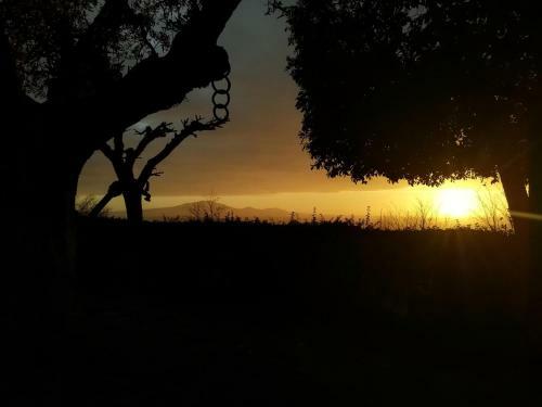 Bed & Breakfast Casale La Pietra Gialla