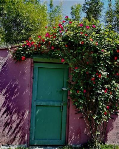 Bed & Breakfast Casale La Pietra Gialla