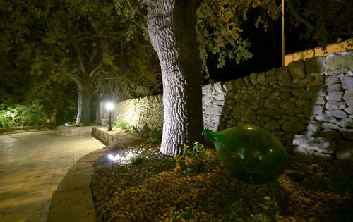 Bed & Breakfast Trulli Petra Chiara