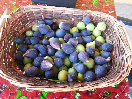 Agroturismo Podere La Querce