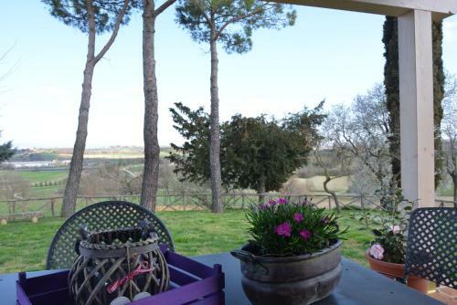 Hostal Elisabeth House