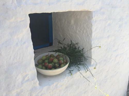 Trullo Azzurro...in Un Mare Di Verde