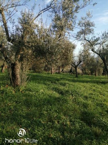 Apartamento Appartamento Serenella