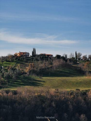 Bed & Breakfast Corte Buenavista