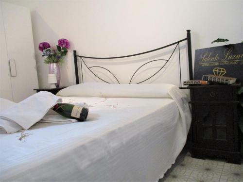 Magliano Splendido Apartment