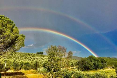 Podere Collesanto