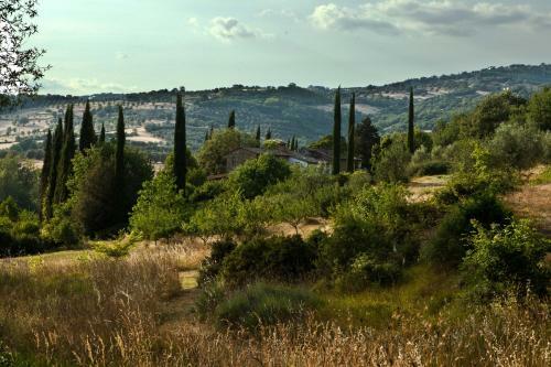 Agroturismo Antico Giuncheto