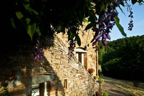 Agroturismo Antico Giuncheto