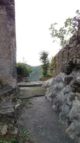 Casa A Maier�