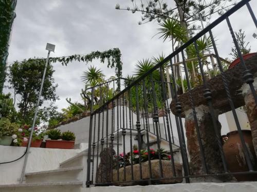 Apartamento Attico Bouganville