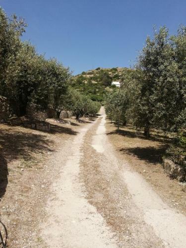 Apartamento Monolocale Zona Mare Pisturri
