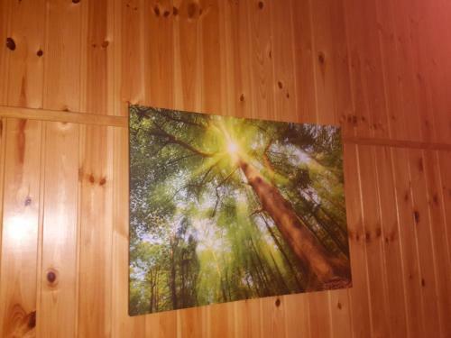 Casa Vacanza "ai Piedi Del Bosco"