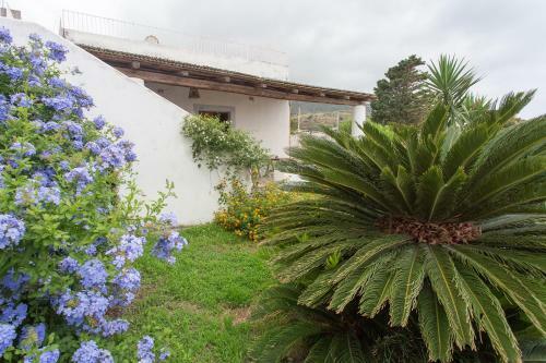 Villa L'agave, Salina