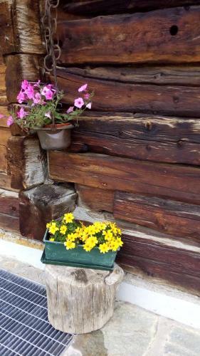 Apartamento Bait Dossalt