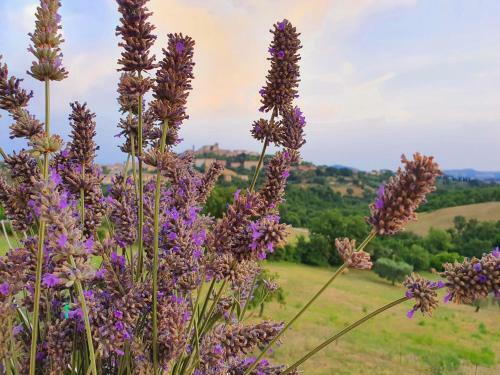 Apartamento Casa Nonna Dilia