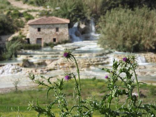 Terme Di Saturnia Vacanze