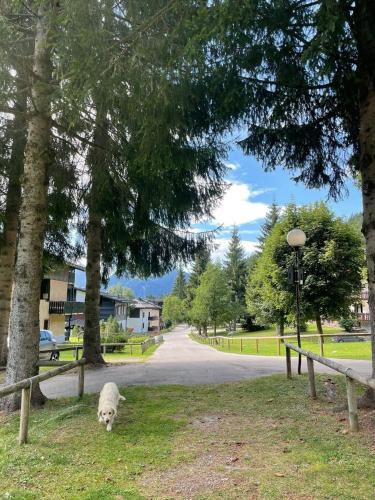 Apartamento Casa Vacanze A Madonna Di Campiglio