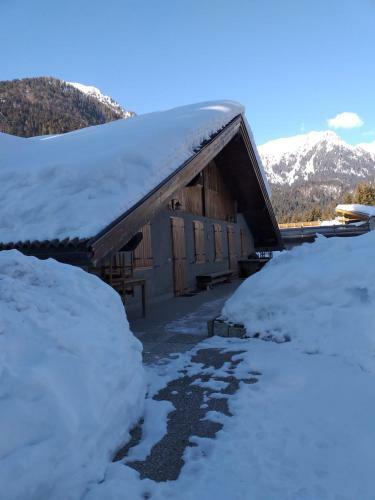 Nido Di Montagna