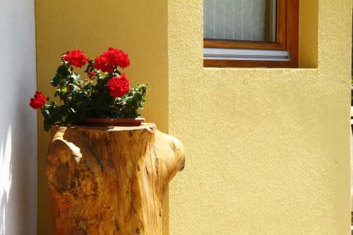 Apartamento Adamello Brenta Sunshine