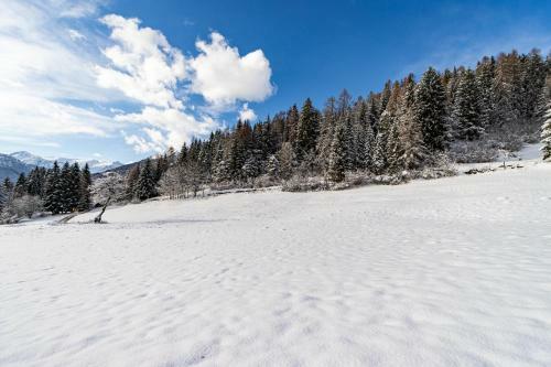 Apartamento Nido Del Brenta
