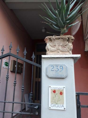Hostal Camera Giglia