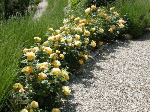 Bed & Breakfast Casa Fonda- Piemonte