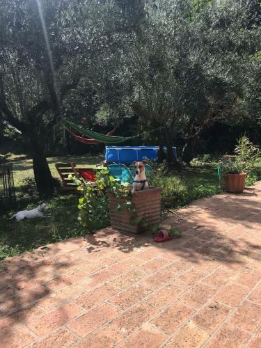 Apartamento Il Giardino Secreto