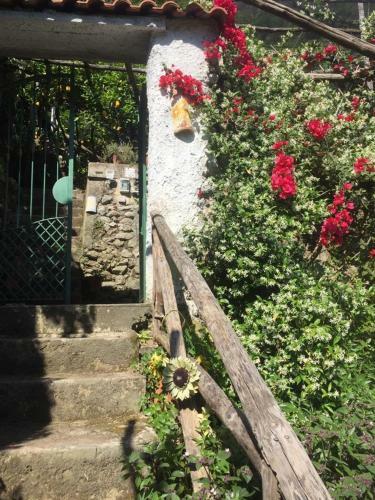 Apartamento Lemon Garden House
