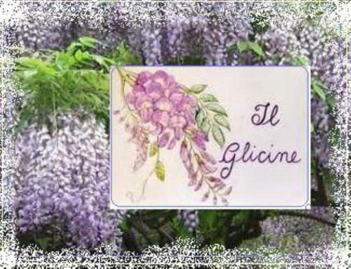 Apartamento Il Glicine Di Lucca