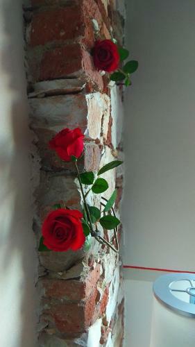 Bed & Breakfast Le Rondini Di San Donato