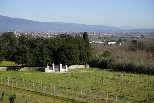 Apartamento La Vedetta