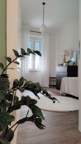 Apartamento Appartamento La Casa Piu Bella