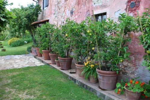 Agroturismo Casa Gaia