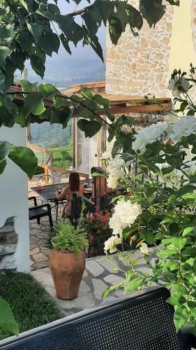 B&B Naturista E Spa Mondosospeso