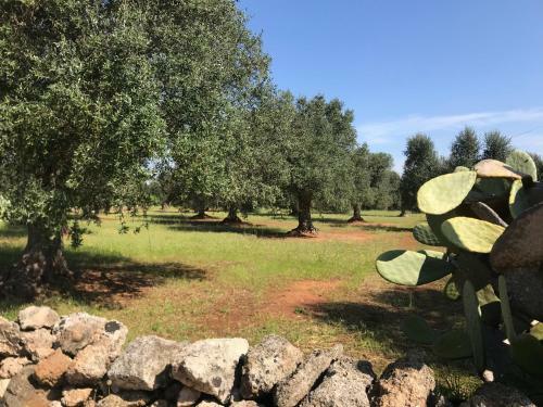 B&B Tenuta Agnusdei