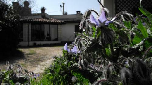 Agroturismo Fattoria Il Noce