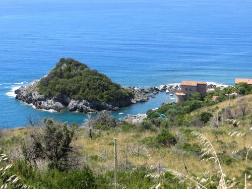 Apartamento Tusitala - Rooms & Suite