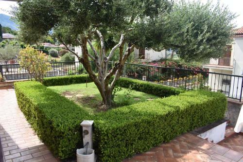 Apartamento Tusitala - Rooms & Suite