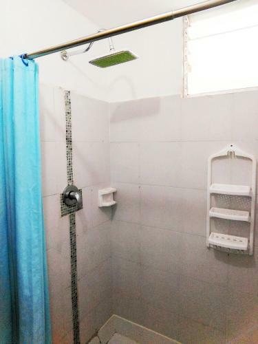 Hostal Oyster Hostel
