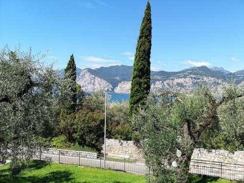 Apartamento Callalillyjardin